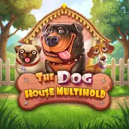 The Dog House Multihold game at Big Candy Casino for Australia players